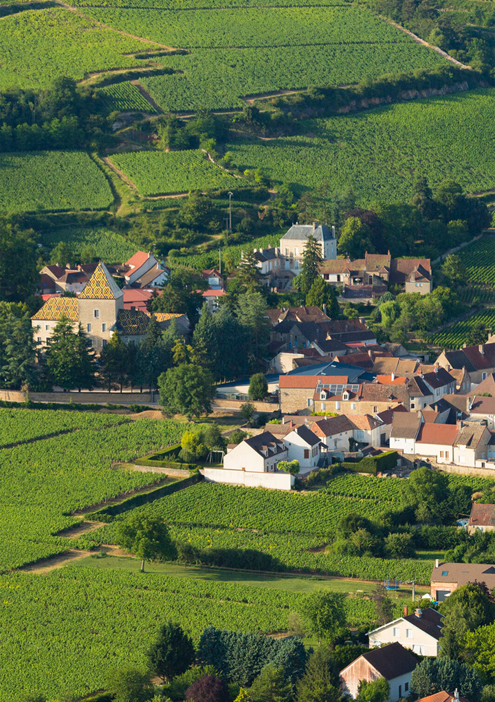 L’histoire de la famille commence en 1830 avec l’acquisition de la propriété du marquis de Saint‑Innocent, à Santenay.